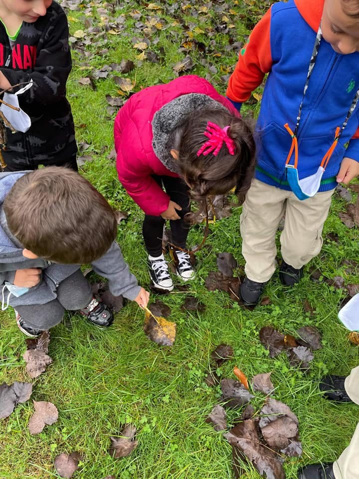 Three children looking at leaves on the ground
