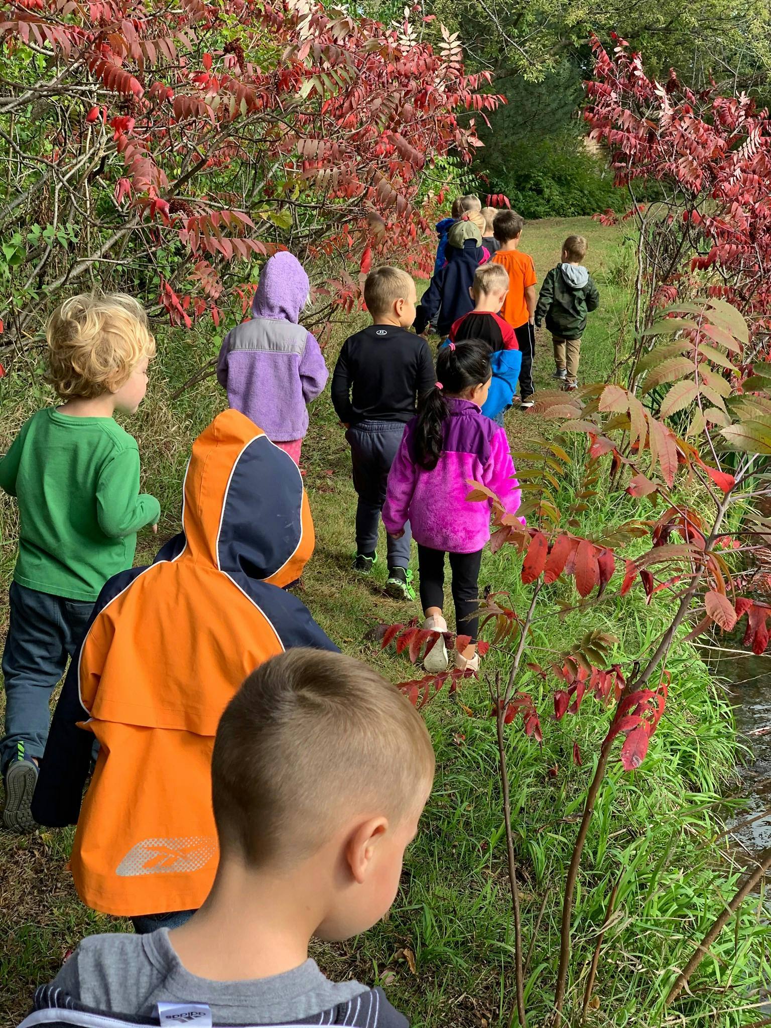 Children walking on a path next to red-leafed bushes