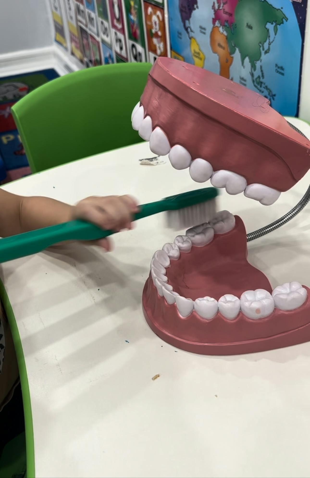 Child brushing teeth on a large dental model
