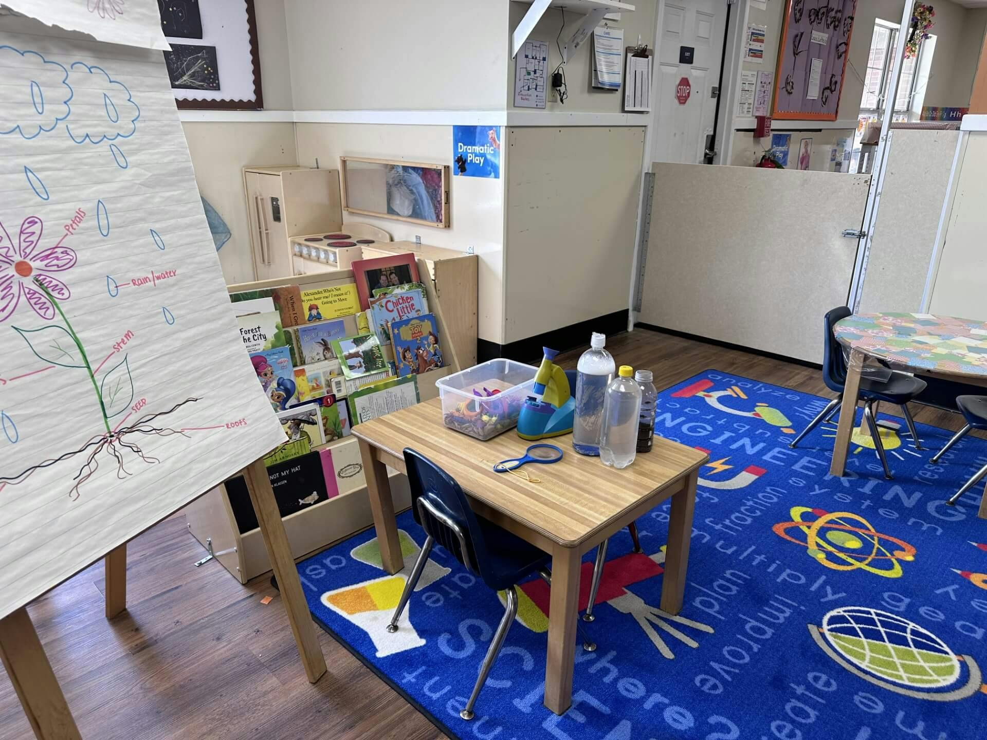 Classroom with a plant diagram on an easel, book display, and tables with science items