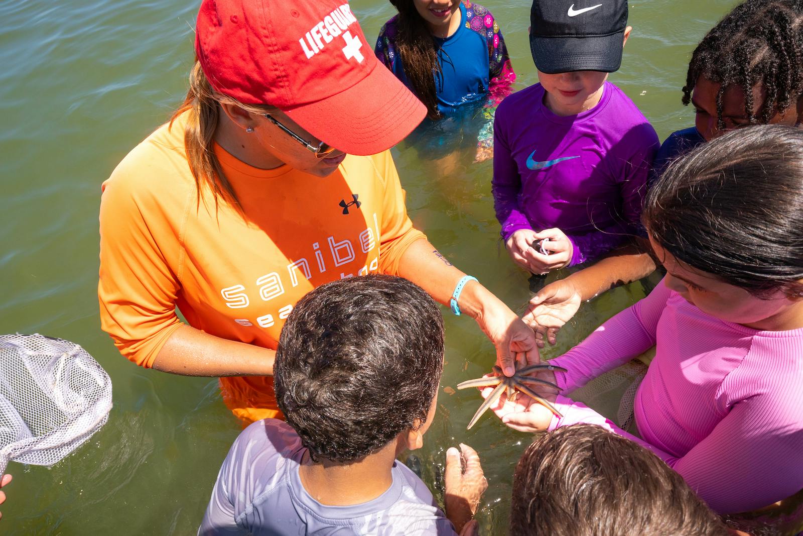 Adult and children in water looking at a sea creature