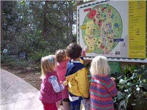 Children looking at a large map outdoors