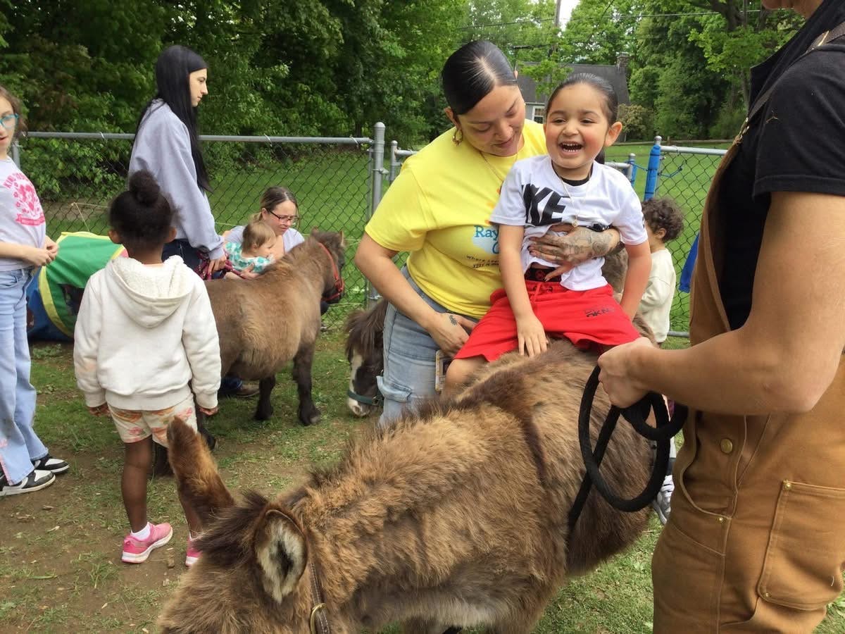 Adult helping a child sit on a small donkey during a petting zoo event