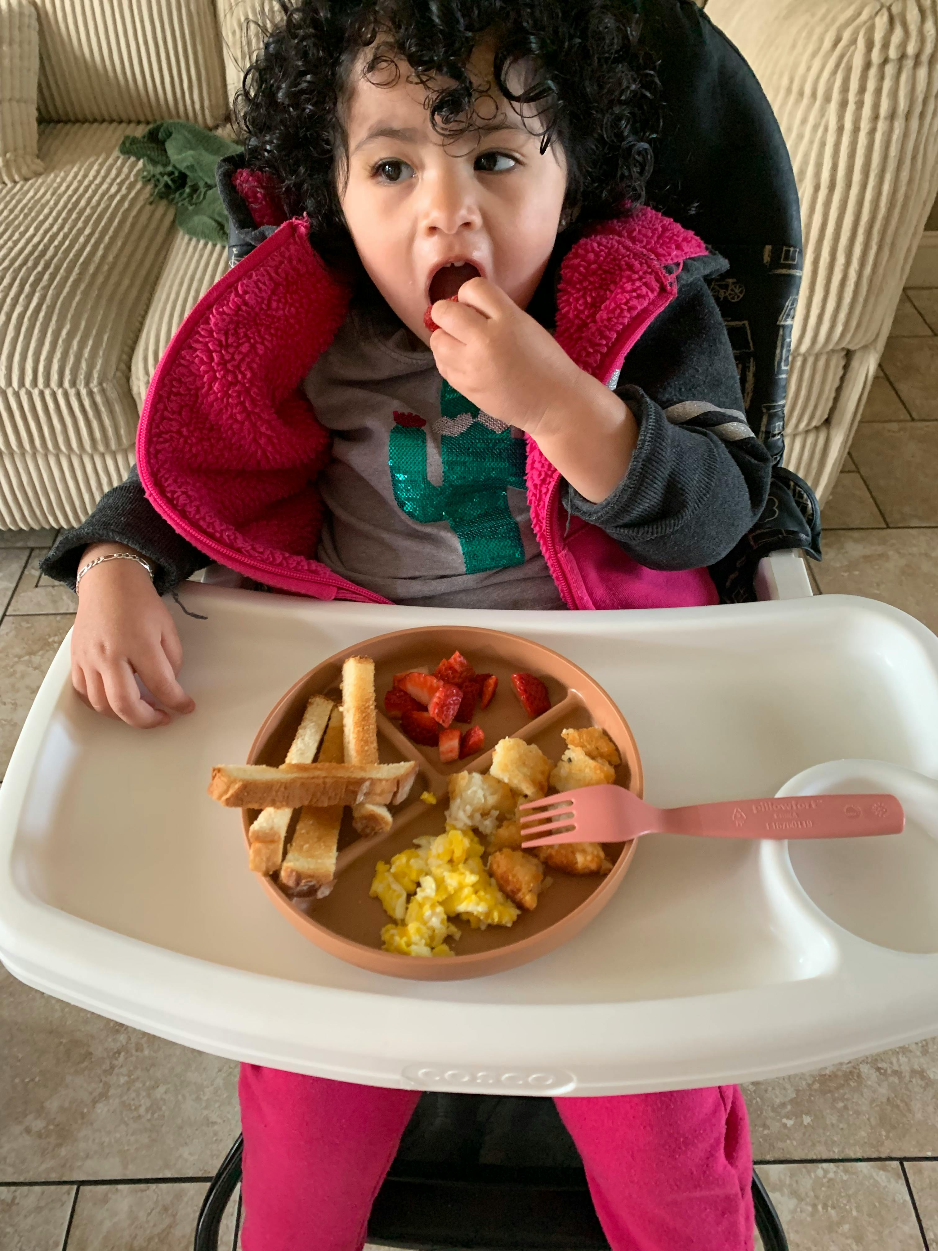 Child in a high chair eating from a plate of food