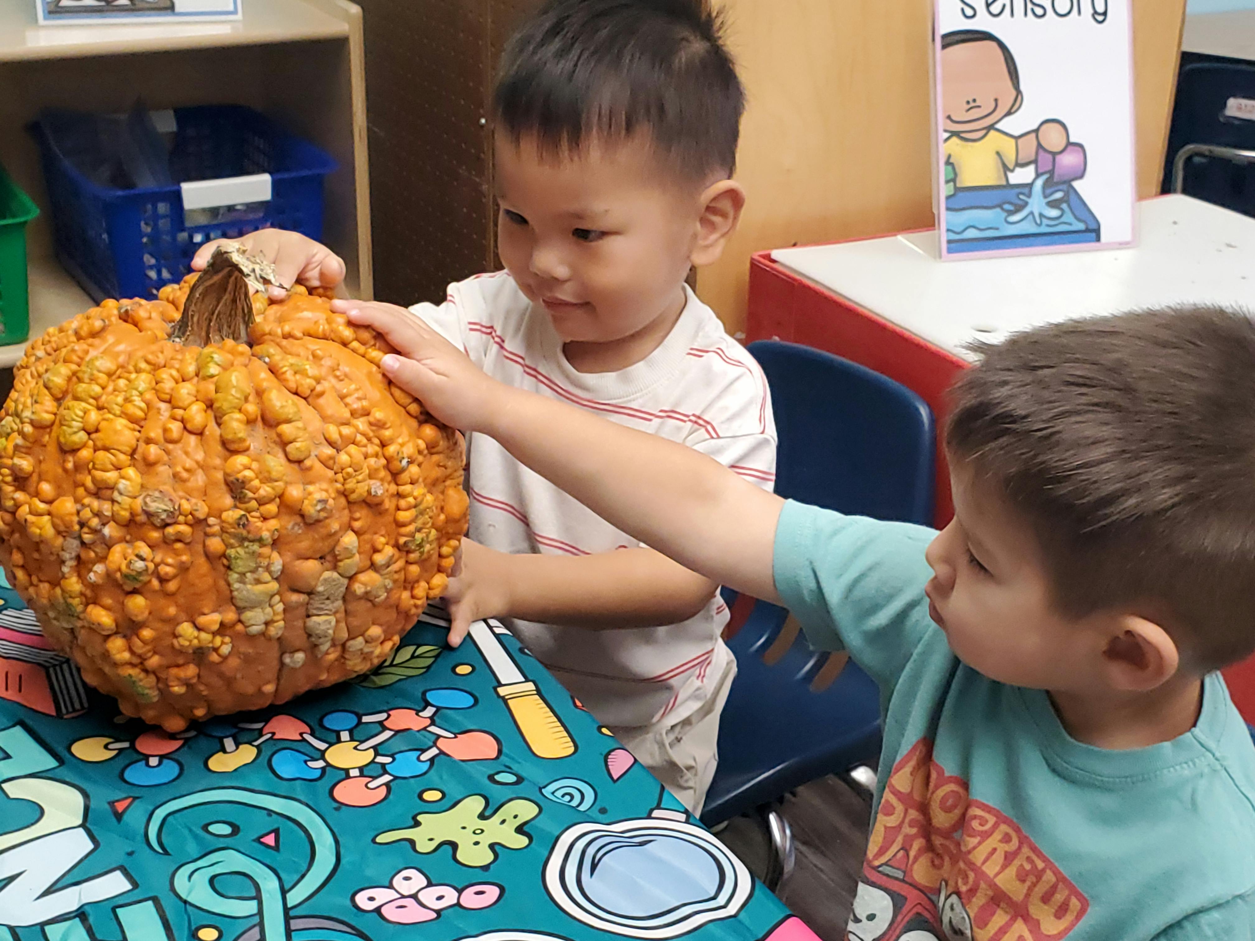 Two children holding a bumpy orange gourd on a patterned table