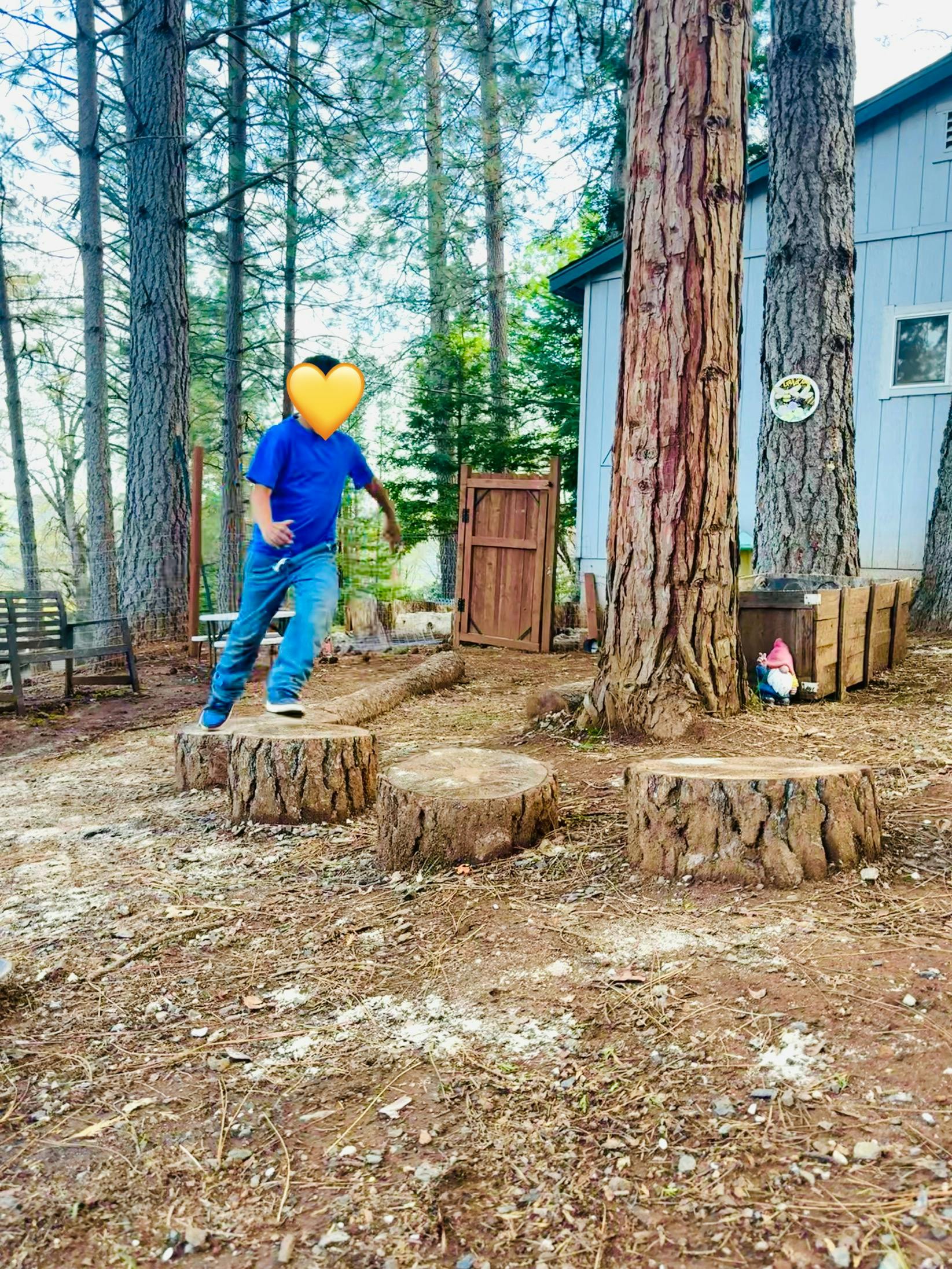 Child jumping between tree stumps in a wooded area