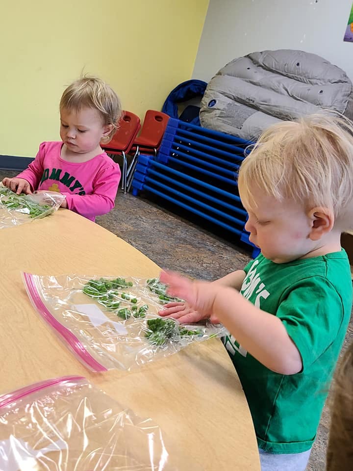 Two children playing with green items in plastic bags on a table