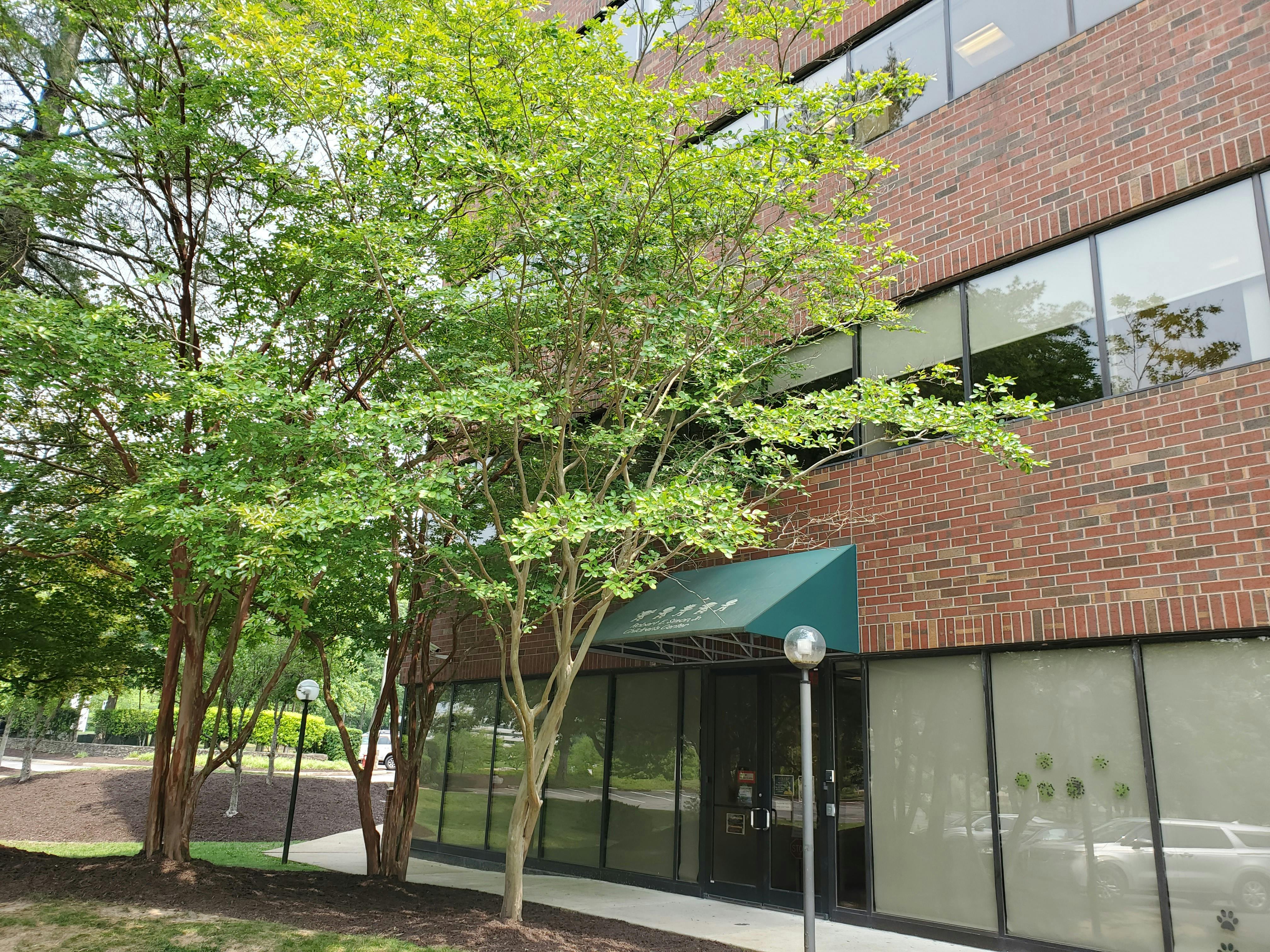 Building exterior with brick facade, green awning, and trees