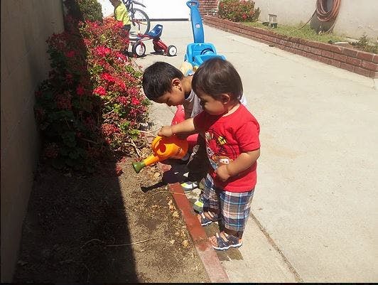Two children watering plants with a small watering can
