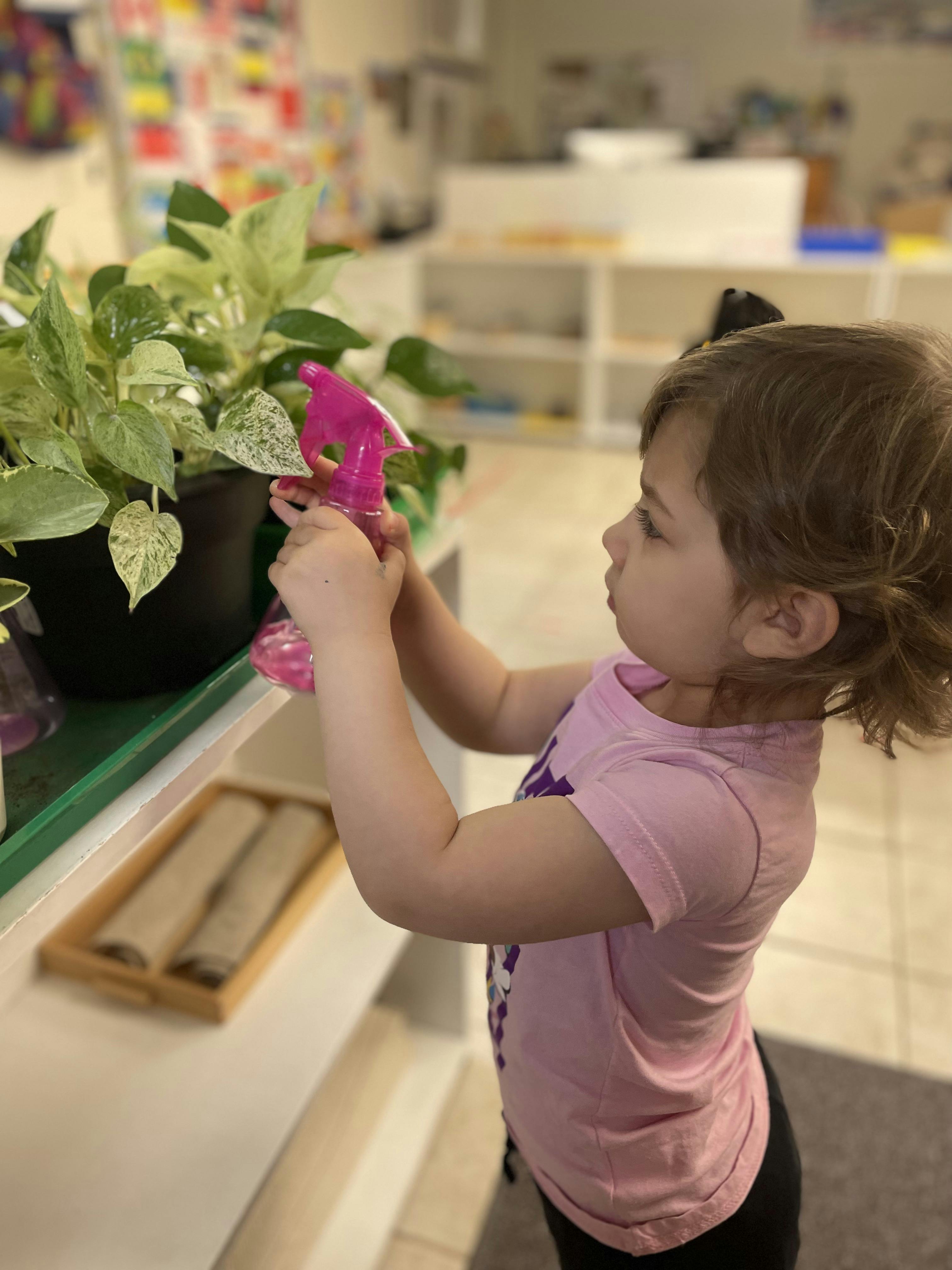 Child spraying water on a potted plant