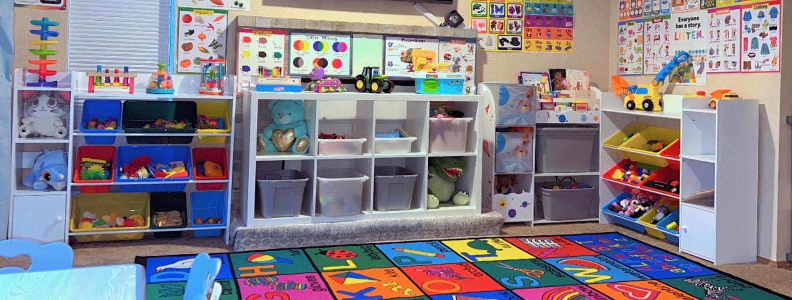 Playroom with colorful rug and toy storage shelves
