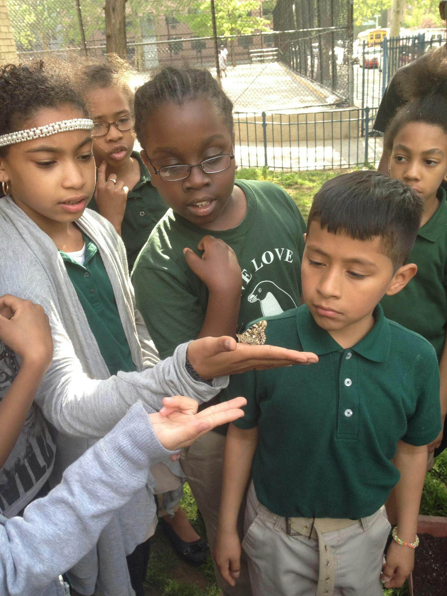 Children gathered around a child holding a butterfly on their hand