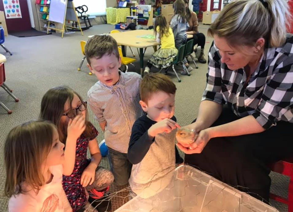 Adult and children looking at a chick in a classroom