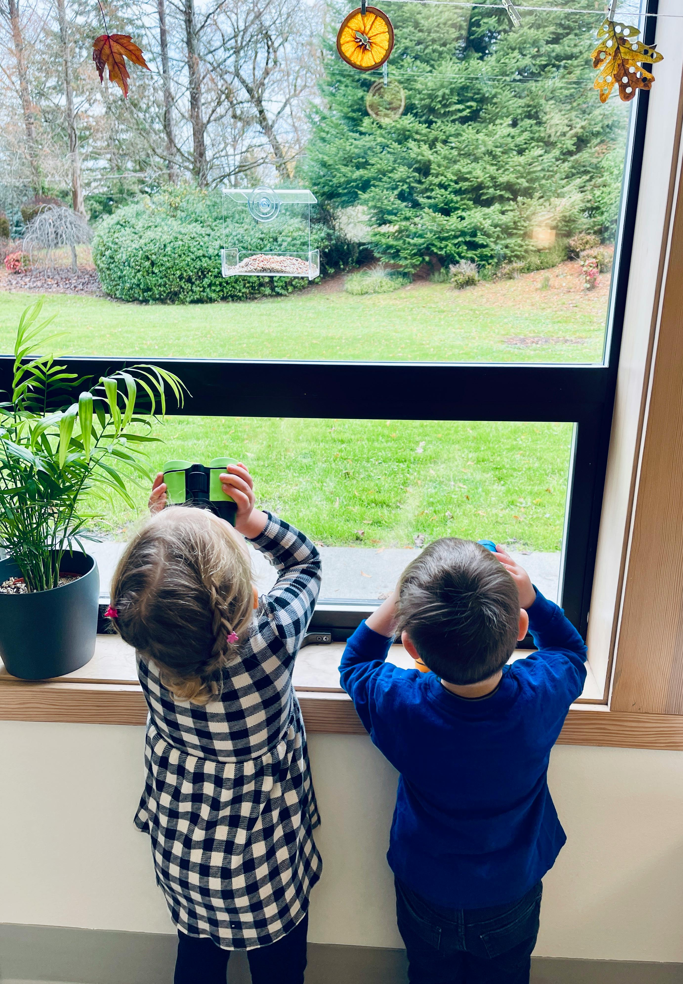 Two children looking out a window