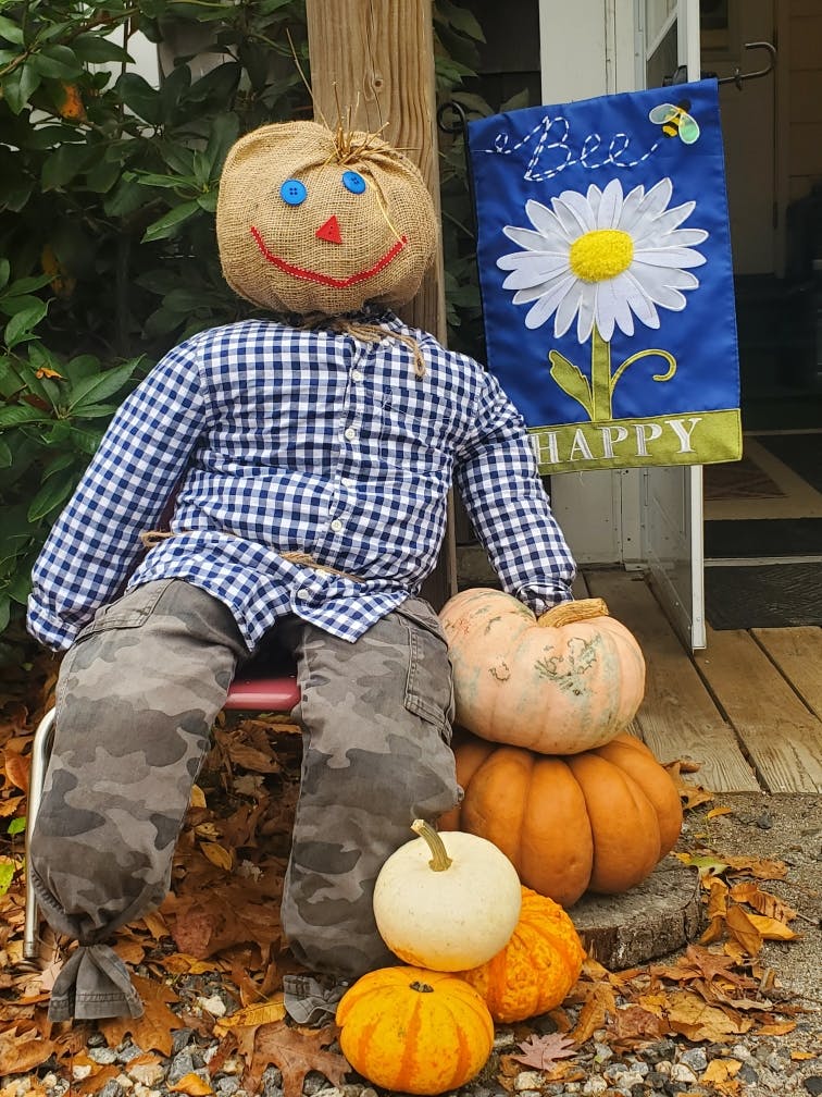 Scarecrow sitting on a chair with pumpkins and a "Bee Happy" flag