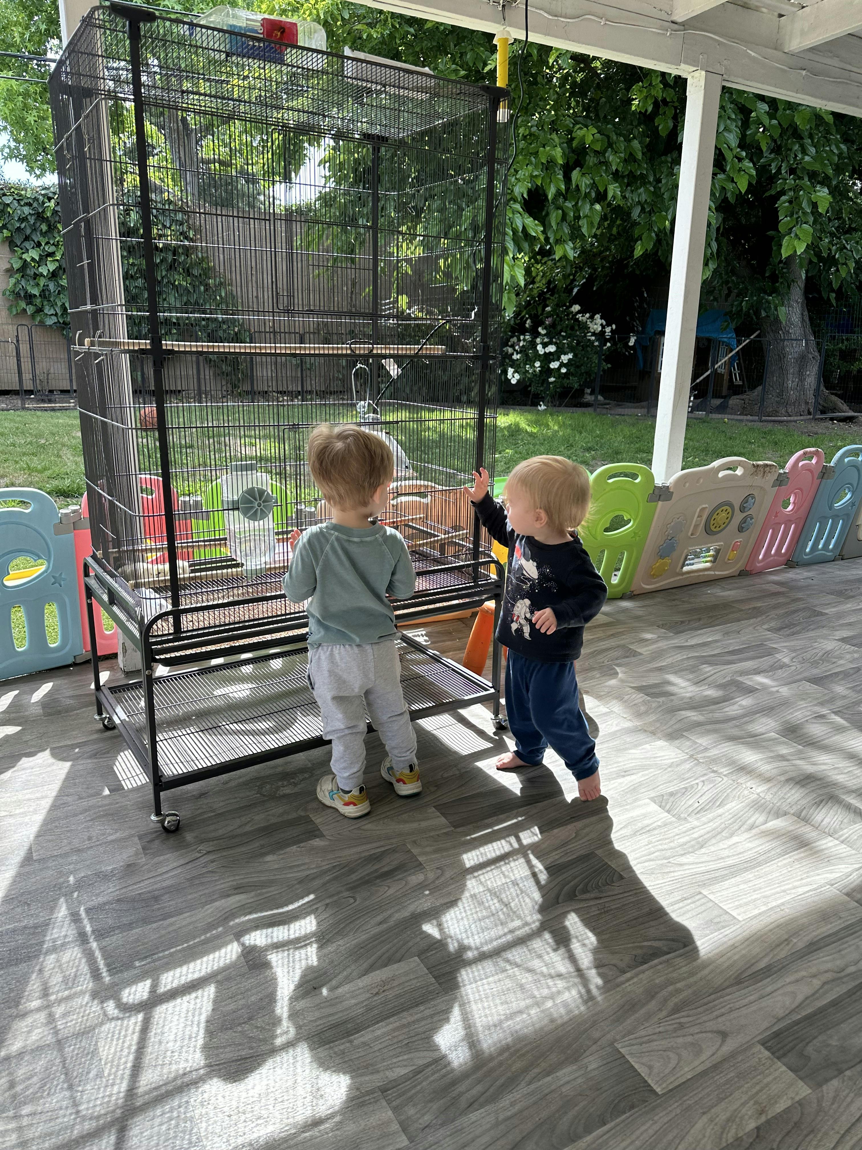 Two toddlers standing and looking at a bird cage outdoors