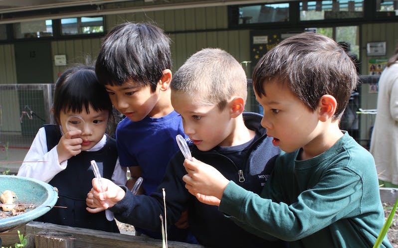 Four children looking at something in a bowl with droppers