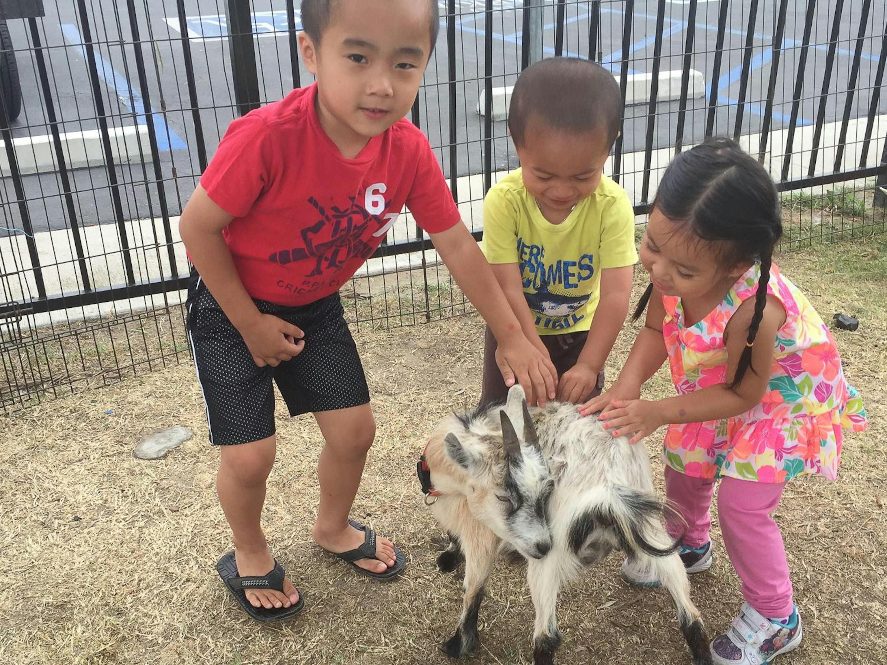 Cherry Blossom Academy Preschool in Garden Grove CA Winnie