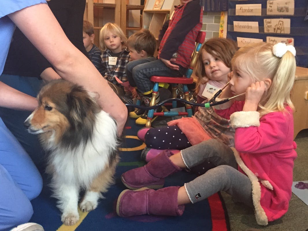 Child listening to a dog with a stethoscope, other children watching