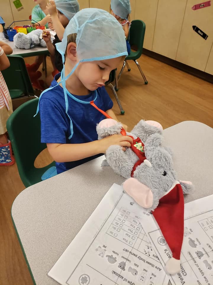 Child in a surgical cap playing doctor with a stuffed animal
