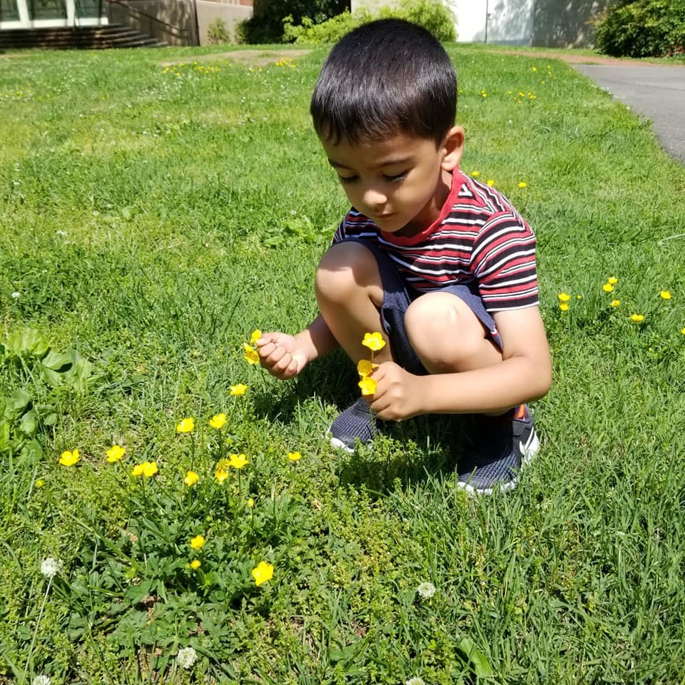 Child crouching in grass picking yellow flowers