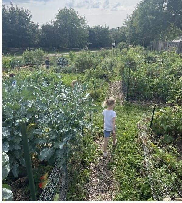 Child walking on a path through a garden