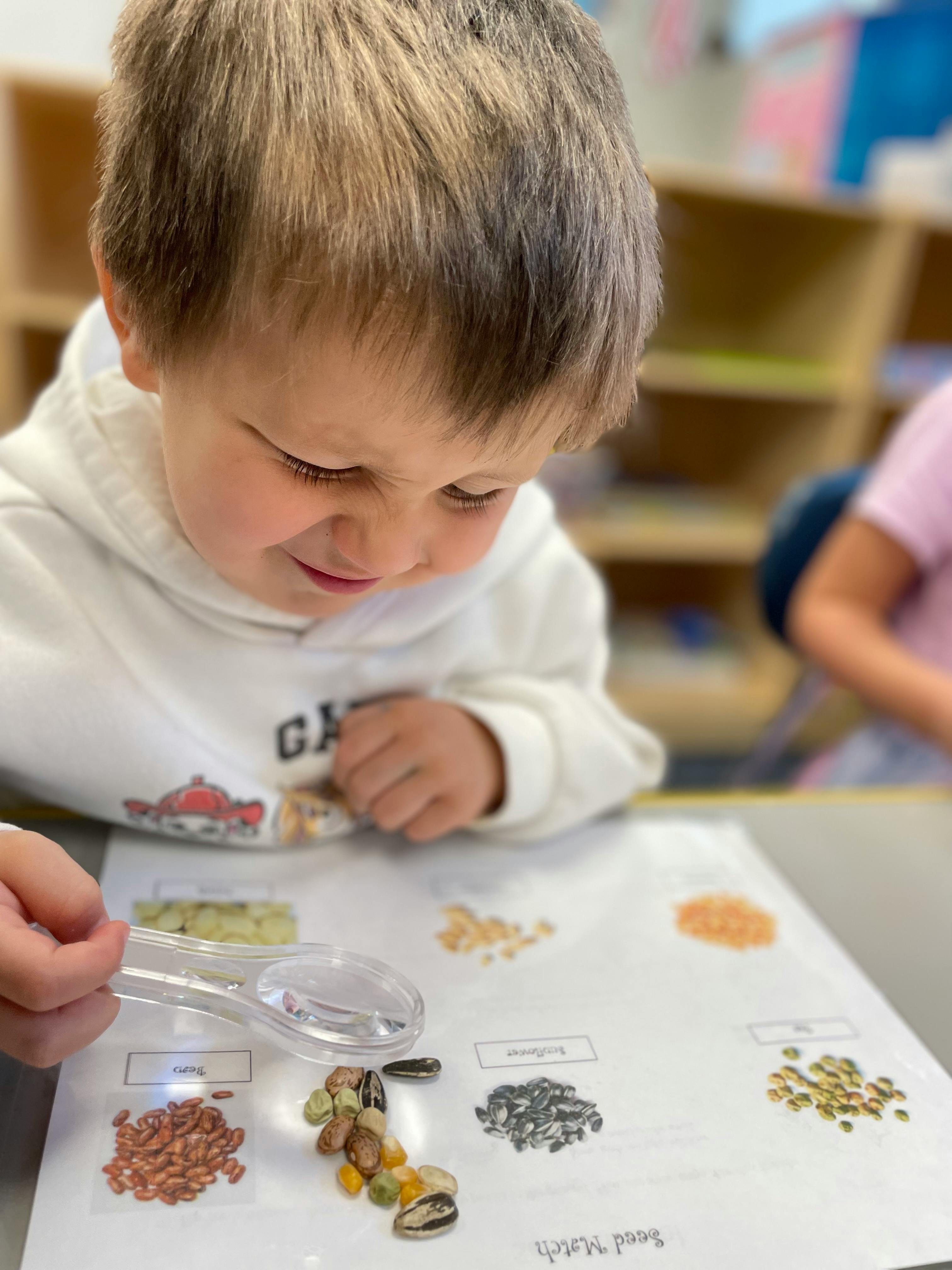Child looking at seeds on a paper with a magnifying glass