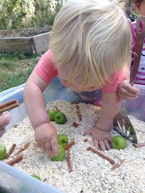 Child playing with oats, green apples, and cinnamon sticks in a bin