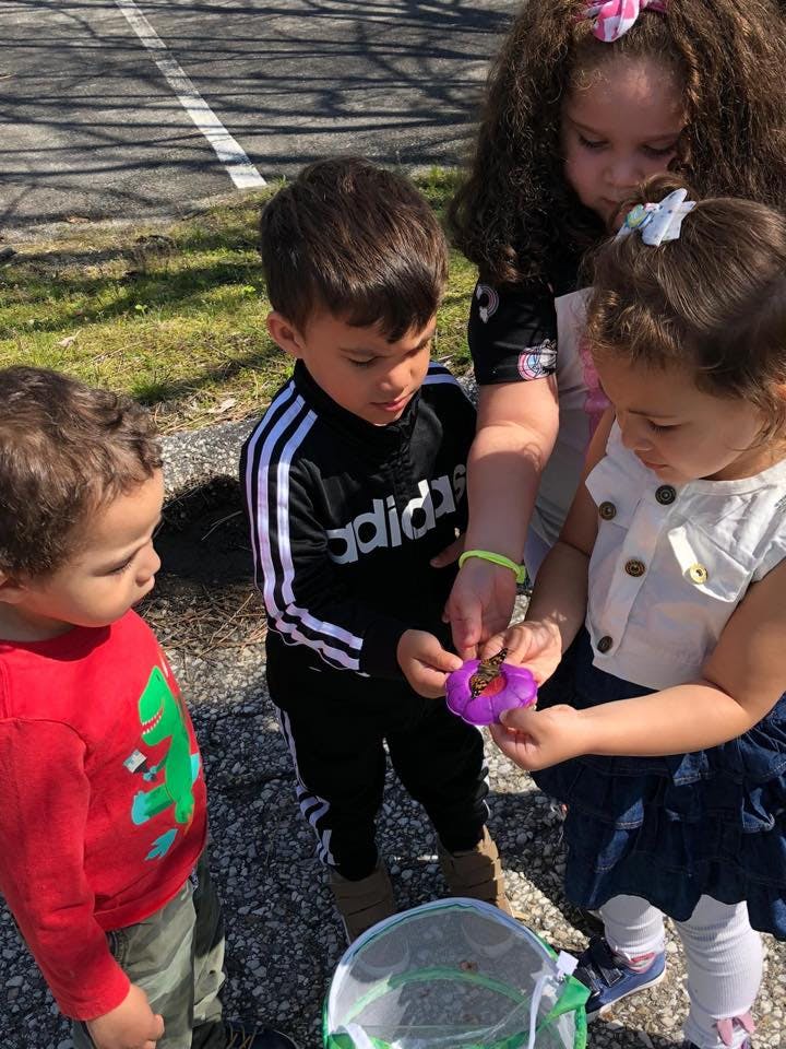 Children looking at a butterfly on a purple flower