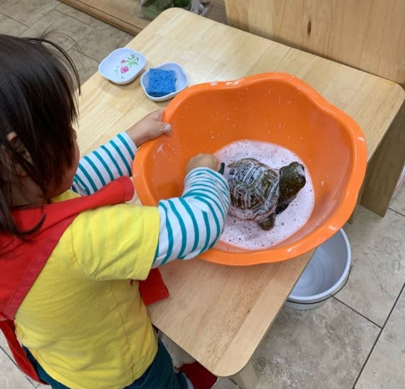 BergenLafayette Montessori School Preschool in Jersey City, NJ Winnie