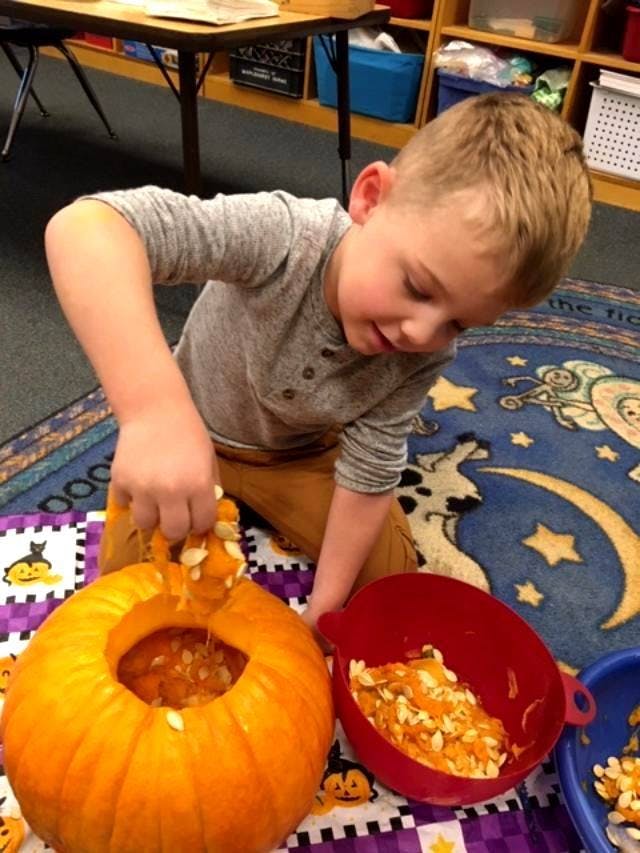 Child removing pumpkin guts from a pumpkin