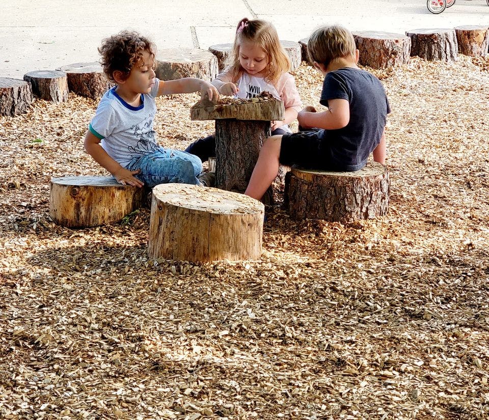 Three children playing with wood blocks on tree stumps