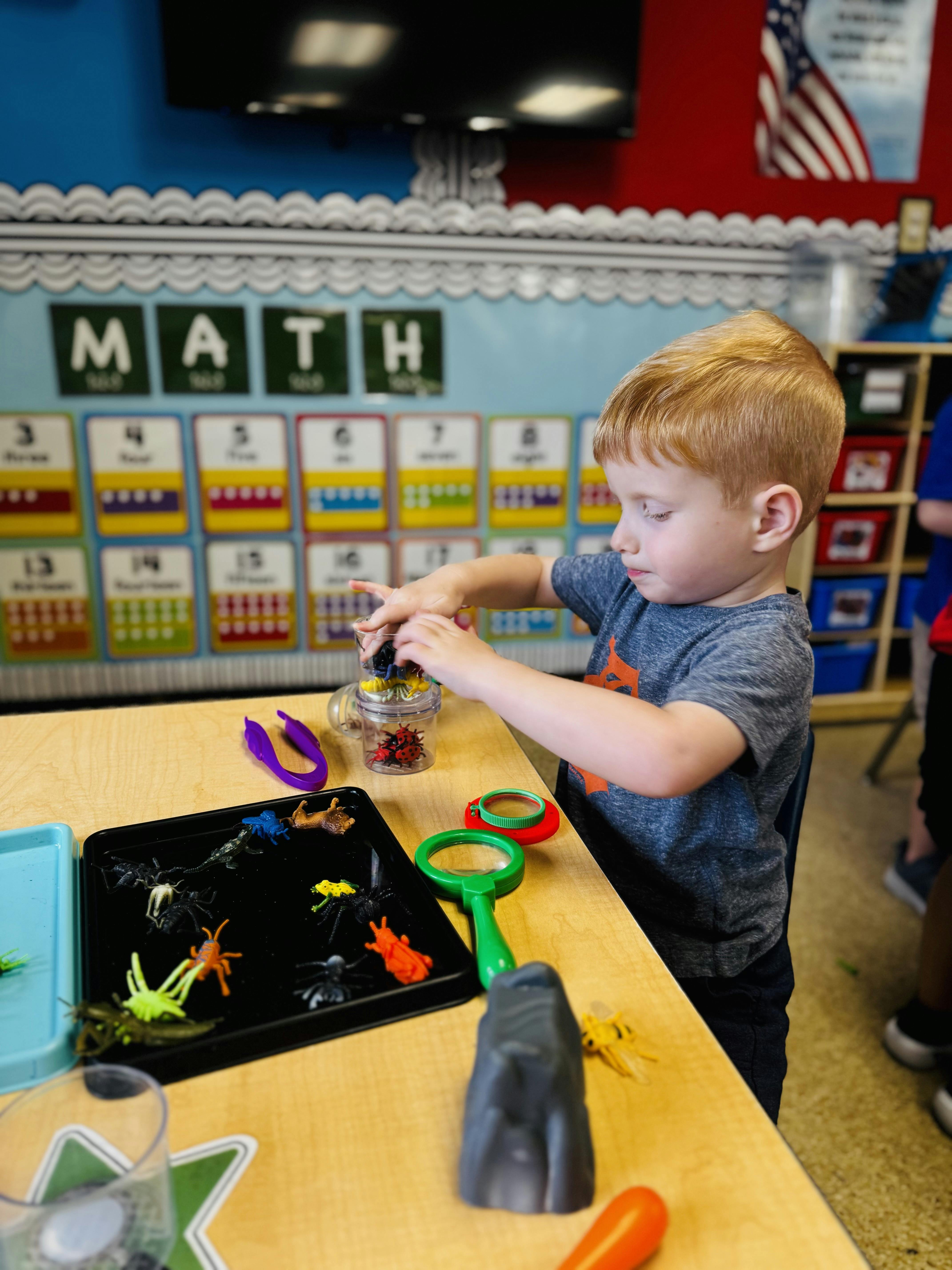 Child placing toy insects into a small container at a classroom desk
