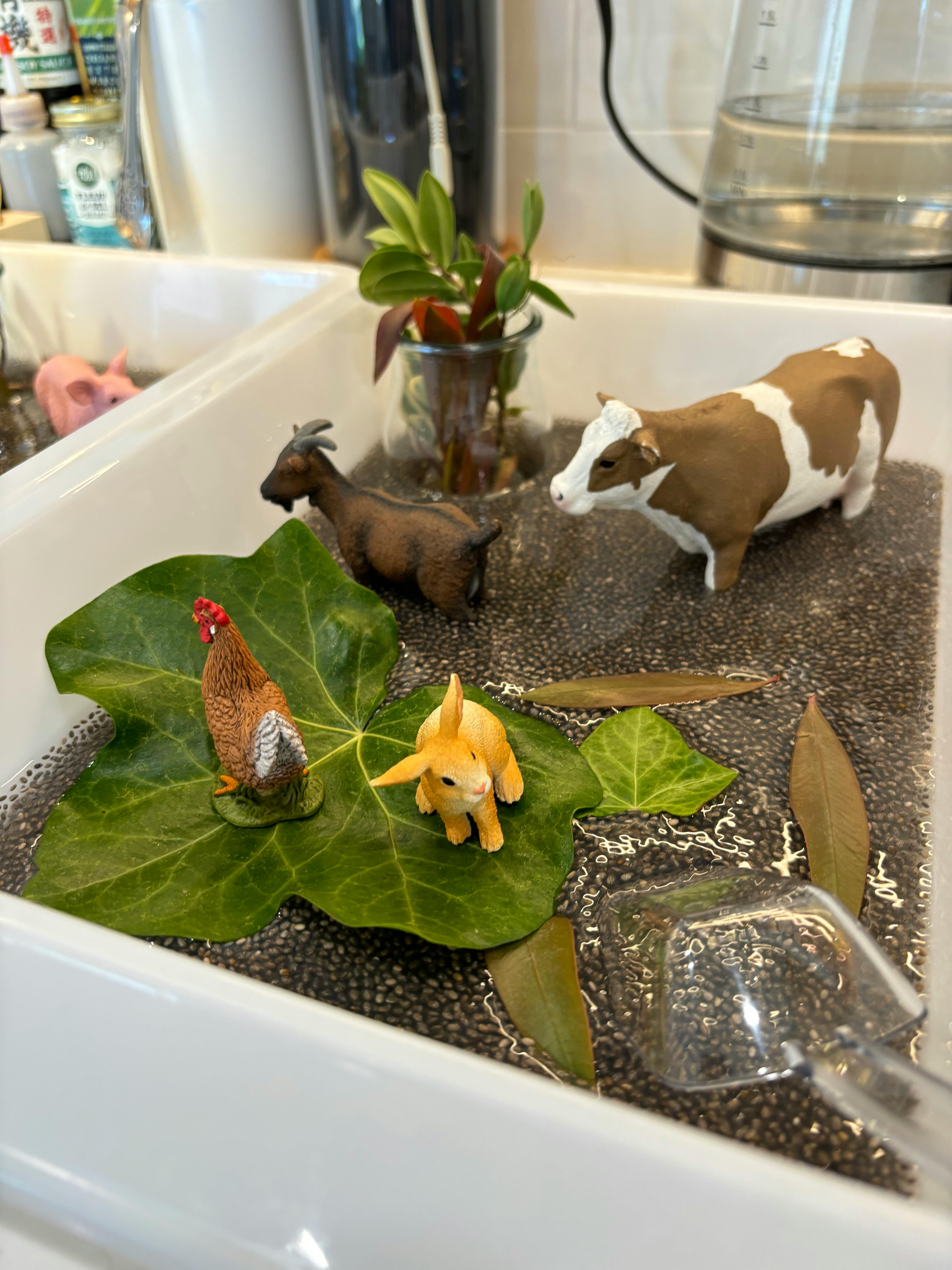 Toy farm animals and leaves in a sink with chia seeds and water