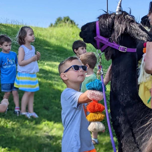Child in sunglasses holding colorful pom-poms next to a llama with a unicorn horn