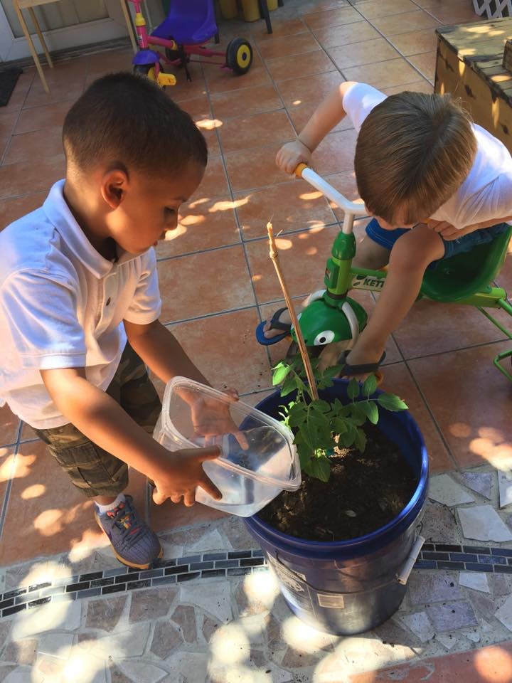Two children watering a plant in a pot