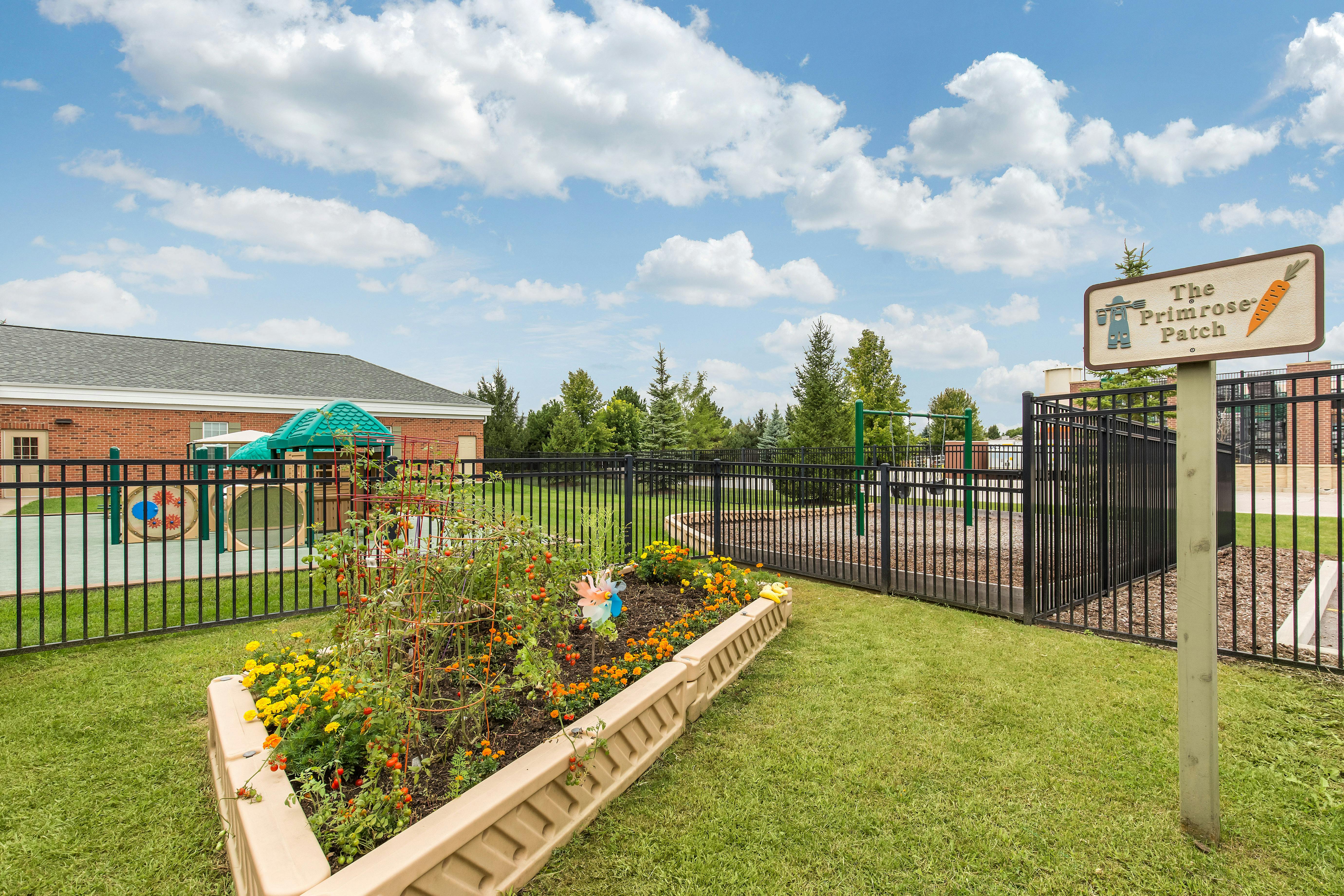 Raised garden bed with flowers and tomato plants next to a playground