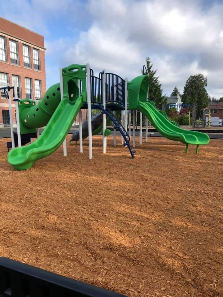 Green playground structure with slides and climbing elements on wood chips