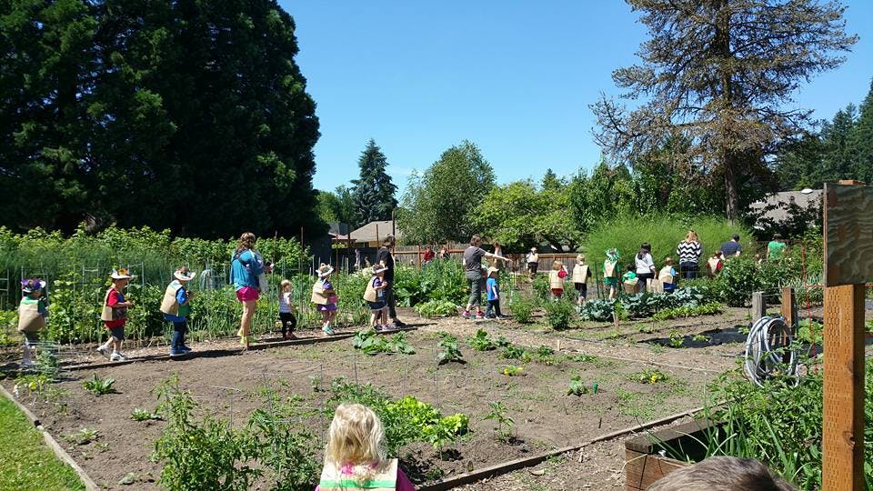 People and children in a garden