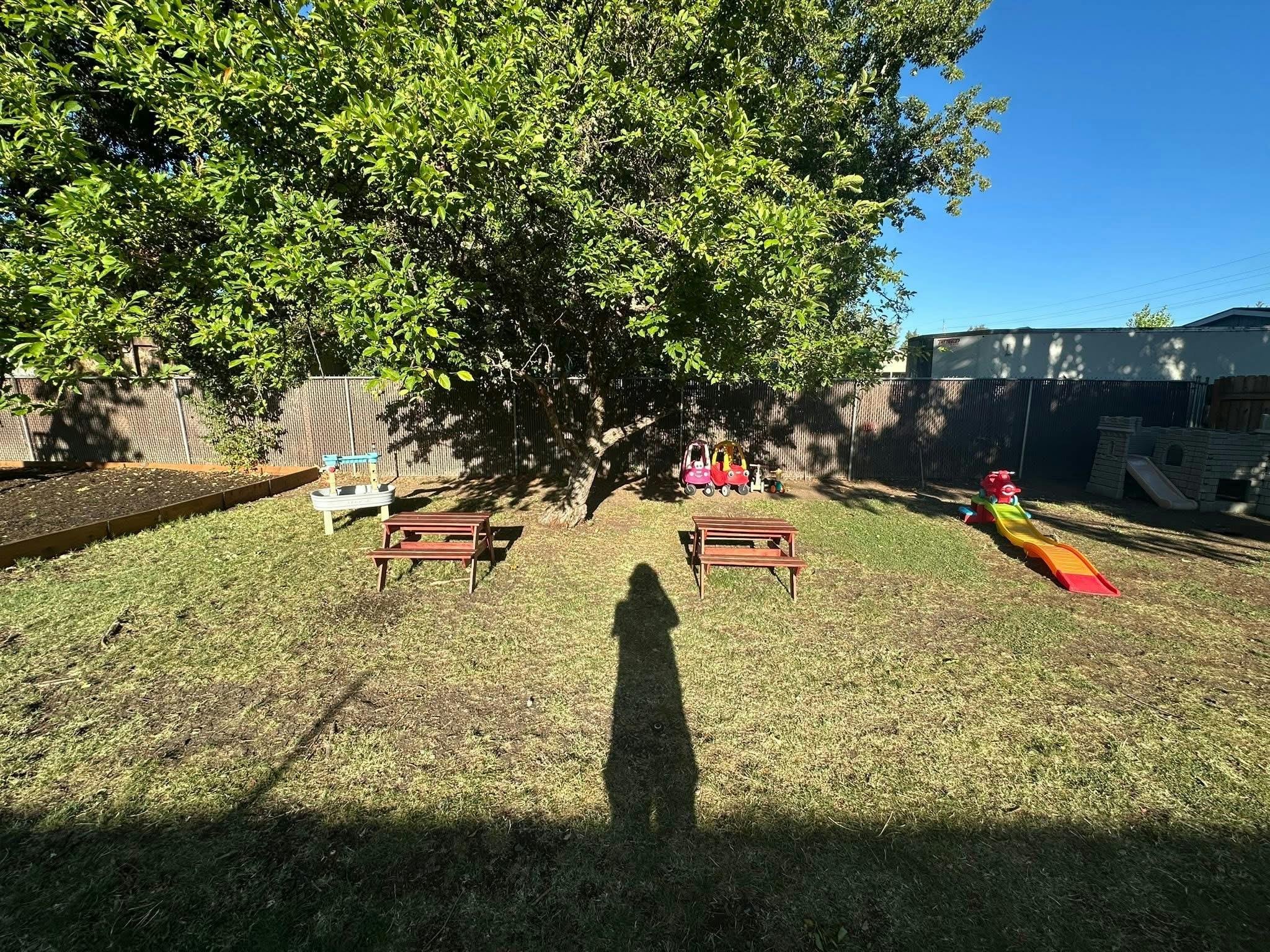Shadow of a person in a grassy backyard with trees and play equipment
