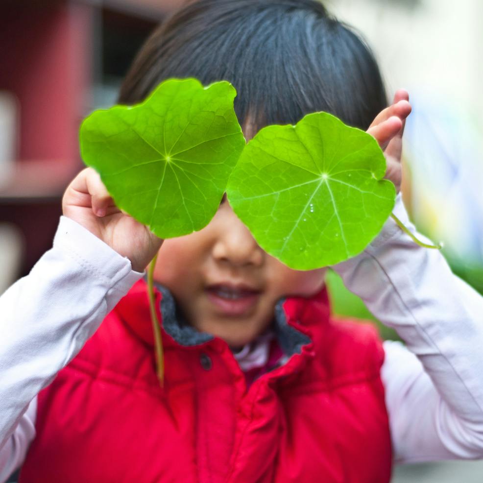 Child holding two green leaves over their eyes