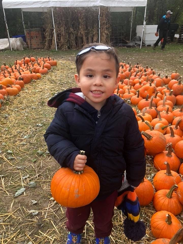Child holding a pumpkin in a pumpkin patch