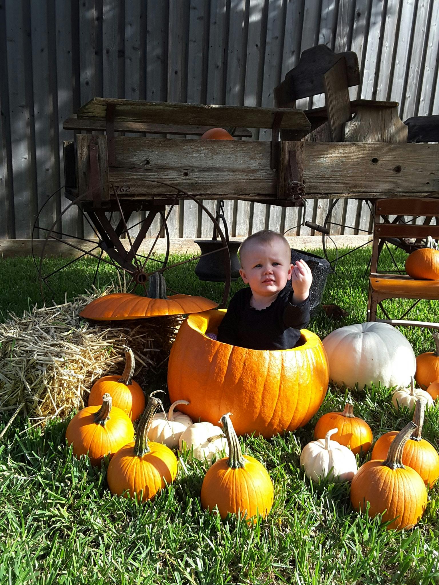 Child sitting inside a large pumpkin surrounded by smaller pumpkins