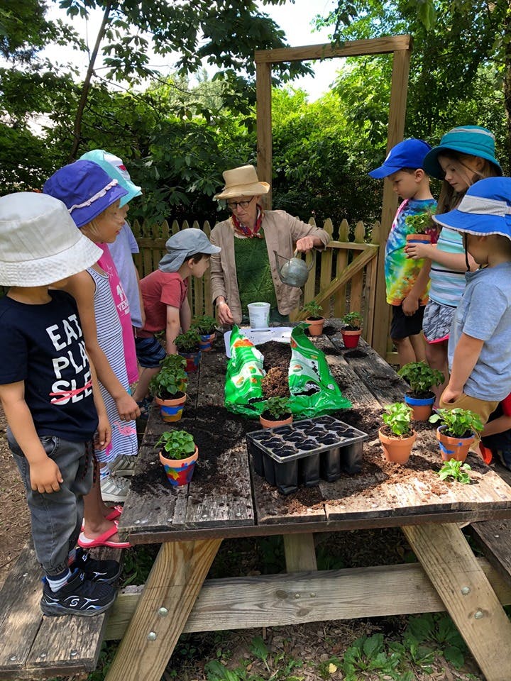 Adult and children planting seedlings at a picnic table
