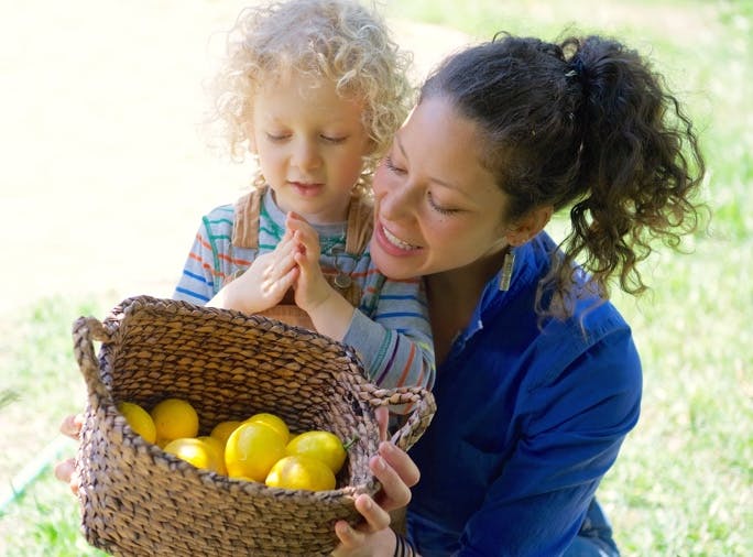 Person and child looking at a basket of lemons