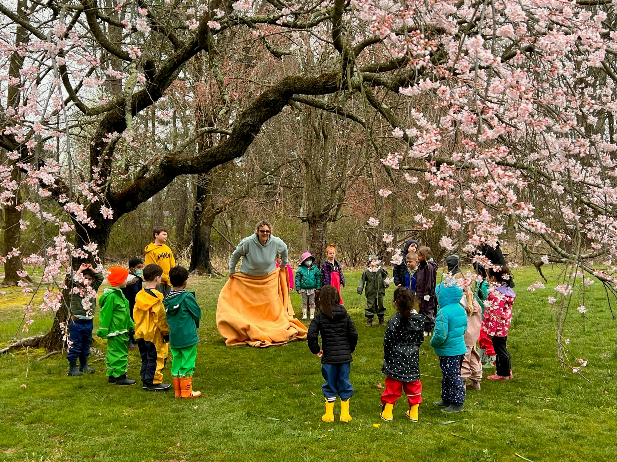 Adult and children playing with a large orange sheet under a flowering tree