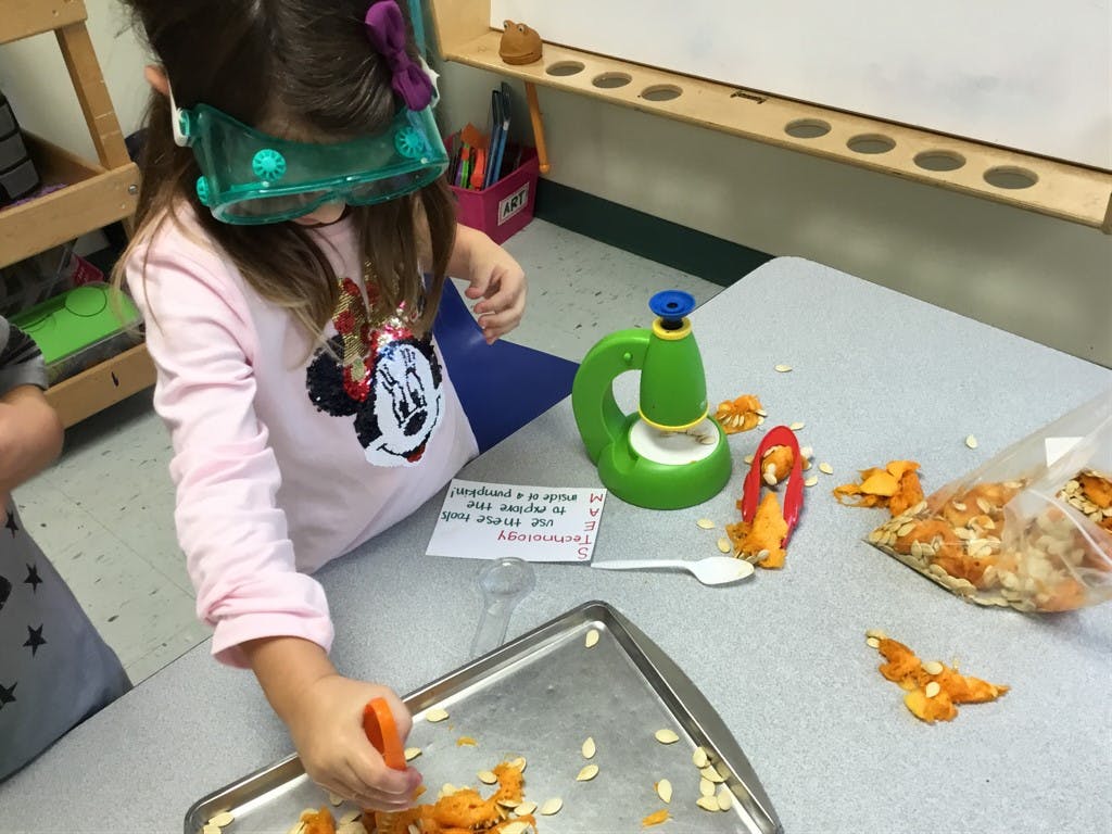 Child wearing green goggles, sorting pumpkin seeds and pulp on a tray