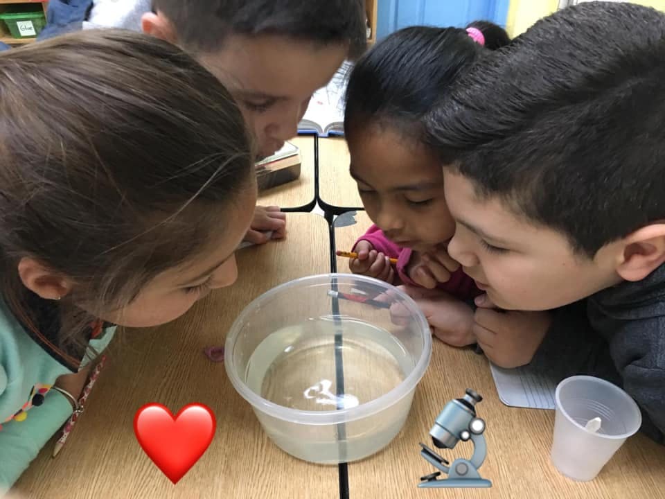 Children looking into a clear bowl of water on a table