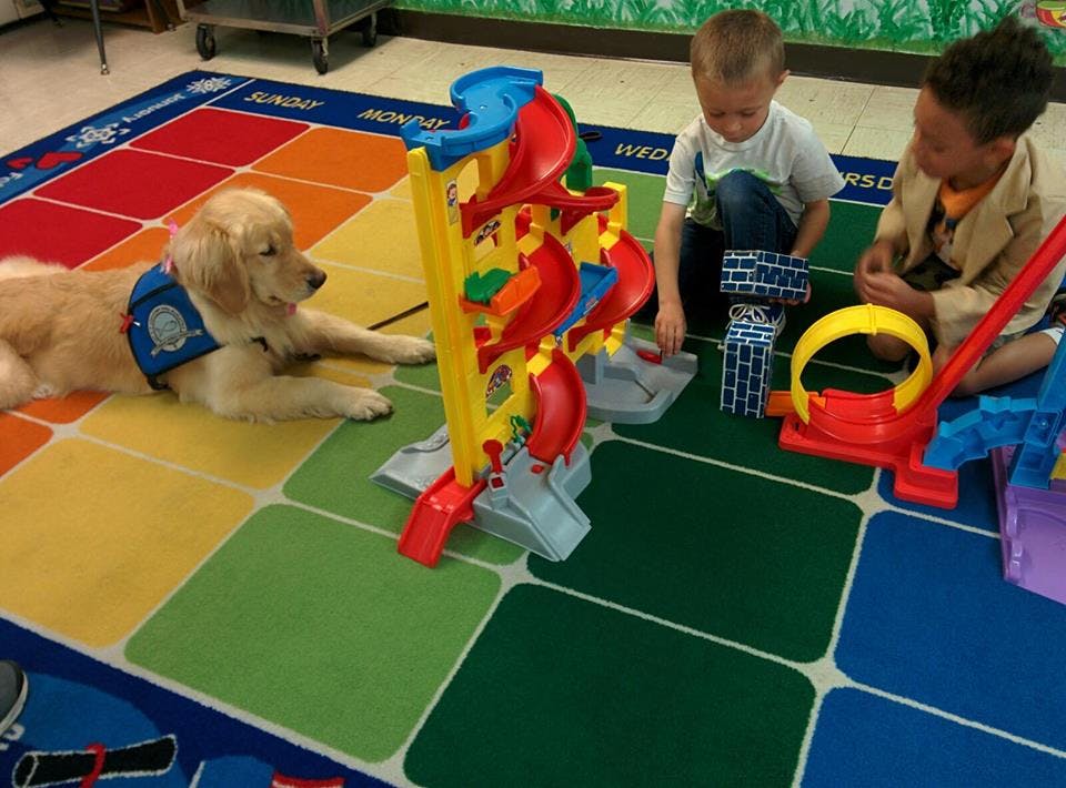 Golden retriever in a vest lying on a colorful rug with two children playing
