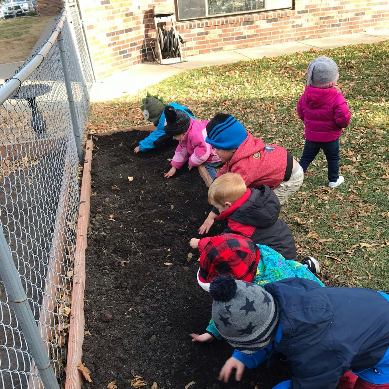 Children planting in a garden bed
